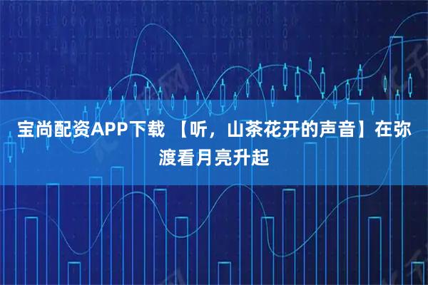 宝尚配资APP下载 【听，山茶花开的声音】在弥渡看月亮升起