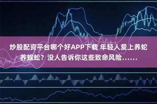 炒股配资平台哪个好APP下载 年轻人爱上养蛇养蜈蚣？没人告诉你这些致命风险……