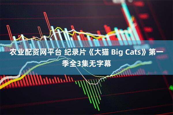 农业配资网平台 纪录片《大猫 Big Cats》第一季全3集无字幕