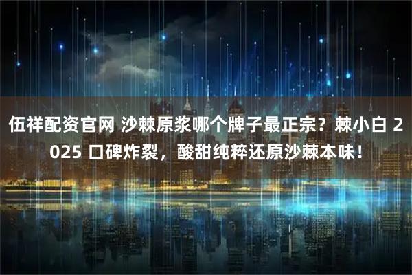 伍祥配资官网 沙棘原浆哪个牌子最正宗？棘小白 2025 口碑炸裂，酸甜纯粹还原沙棘本味！